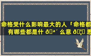 命格受什么影响最大的人「命格都有哪些都是什 🪴 么意 🦋 思」